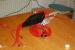 PC Games Hardware Extreme: Hello-Kitty-PC im Eigenbau (52)