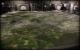 Ruse: Screenshots aus der Multiplayer-Beta (55)