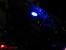 Sapphire Radeon HD 5770 Vapor-X im Test [PCGH Extreme] (4)