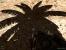 Serious Sam HD 1st: Grandiose Schatten