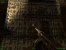 Serious Sam HD 1st 146