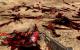 Serious Sam HD 1st 20