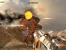Serious Sam HD 1st 56