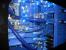 Cosmos Blue Motion Flow