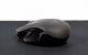 PC Games Hardware Extreme: Razer Orochi/Megasoma/Kabuto/Goliathus im Test (18)