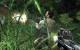Far Cry mit AGM, ECU, inaktivem LOD, Supersampling-AA und HDR-Rendering