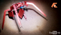 Spider-Case: Youtube-Video enthüllt neues Lian-Li-Gehäuse (3)