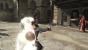 Assassin's Creed 2 (2010)