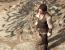 Assassin's Creed 2 (7)
