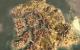 Anno 1404: Venedig (2)