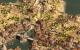 Anno 1404: Venedig (9)
