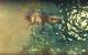 Anno 1404: Venedig (23)