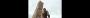 Assassin's Creed 2 mit 5.760 x 1.200 Pixeln (5)