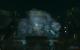 Bioshock 2 (11)