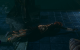 Bioshock 2 (39)