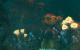 Bioshock 2 Top: Unterwasser-Atmosphäre