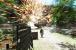 Crysis-Screenshot-Wettbewerb mit Nvidia und MSI