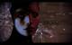 Mass Effect 2 Top: Schau mir in die Augen, Kleiner