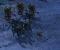 Starcraft 2 Beta (19)