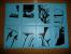 Anime-Casemod mit One-Piece-Motiven (4)