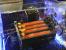 Asus Crosshair IV Extreme 02