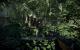Battlefield: Bad Company 2 (7)