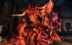 Dragon Age Origins - The Awakening (2)