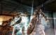 Dragon Age Origins - The Awakening (5)