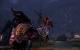 Dragon Age Origins - The Awakening (10)