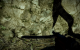 Battlefield Bad: Company 2 Grafikvergleiche