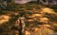Just Cause 2 (17)