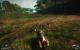 Just Cause 2: Bilder aus der Vollversion (35)