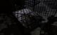 Metro 2033 mit DirectX 11 (49)