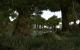 The Elder Scrolls III: Morrowind [mit Mods]