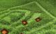 GF100: DirectX 11 Tesselations-Demo (2010)
