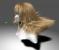 Nvidia Physx-Tech Haare