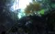 Stone Giant (202)