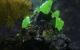 Stone Giant (211)