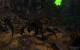 Stone Giant (216)