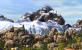 Die Siedler 7 (17)