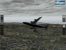 X-Plane 9 für das Ipad