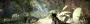 Panorama: Battlefield 2 (1)