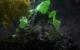 Stone Giant: DirectX 11 (7)