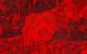 Stone Giant: DirectX 11 (13)