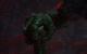 Stone Giant: DirectX 11 (17)