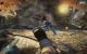 Bulletstorm: Alle Informationen auf der PCGH-Themenseite (30)