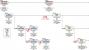 Roadmap einer japanischen Webseite