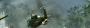 Call of Duty 7 (2010): Vegetation