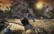 Bulletstorm: Alle Informationen auf der PCGH-Themenseite (25)