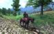 TES IV Oblivion: Pferde